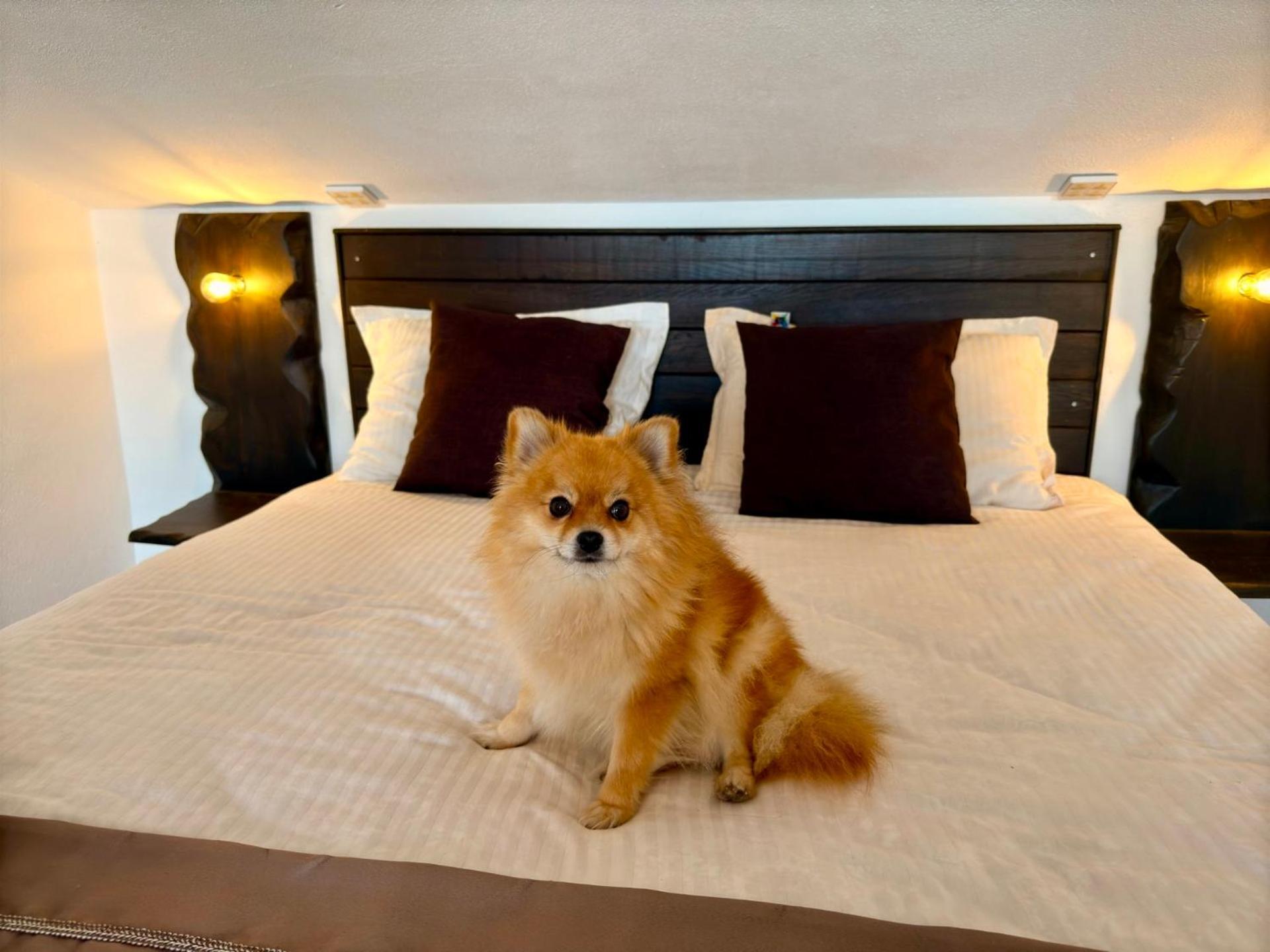 Arthotel Oscar I Sozopol Bagian luar foto